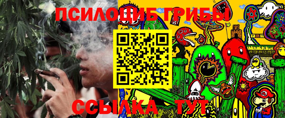 Белая Калитва  Галлюциногенные грибы Psilocybe  Вход с VPN 