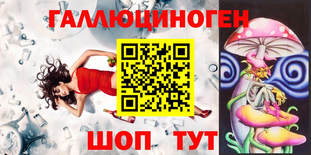 Псилоцибиновые грибы Psilocybe Белая Калитва